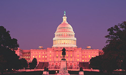 government